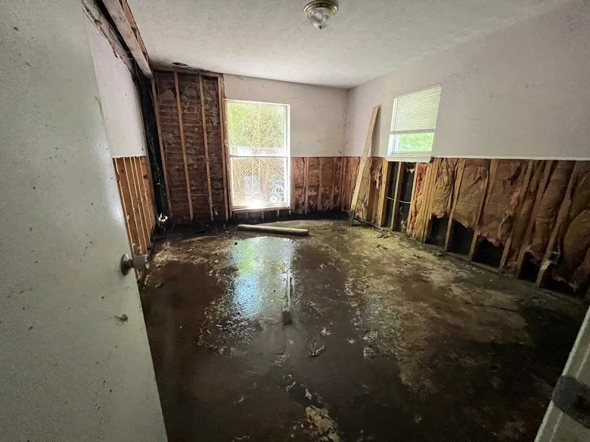 Water Damage Restoration services in Mount Carmel, IL